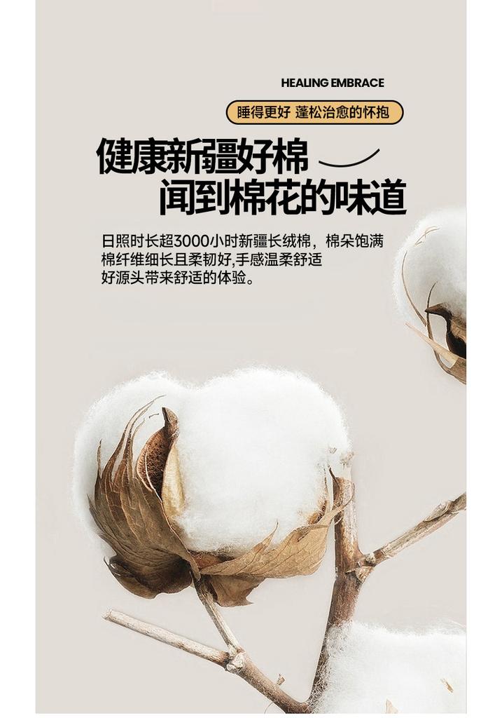 Mei Yun Ge 100% Xinjiang Cotton Winter Quilt