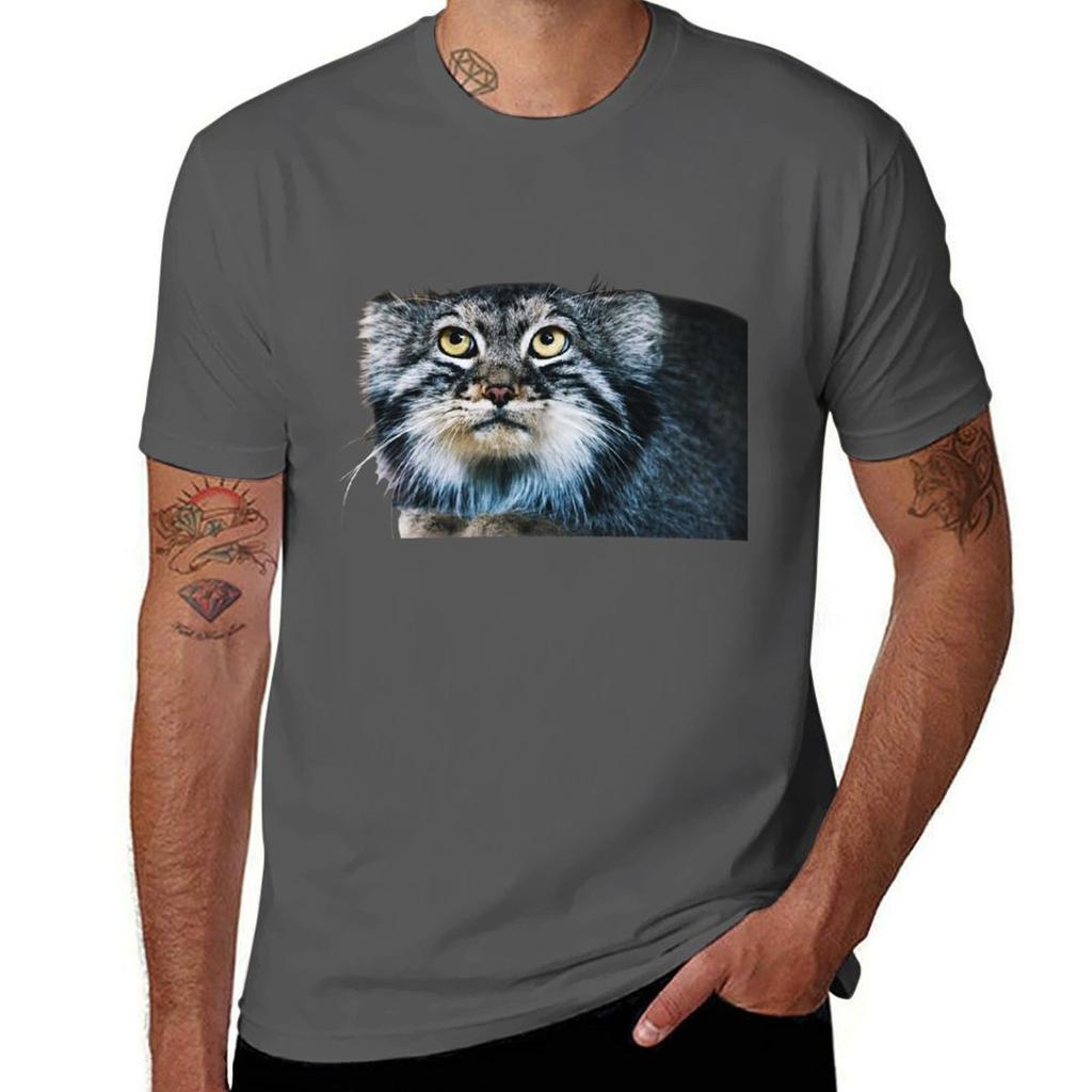 Pallass Cat T-Shirt Graphic T Shirts for Man T Shirt for Man T-Shirt