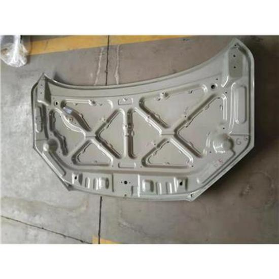Foton Front Hood Assembly Part: C5660100200A0