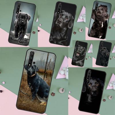 Fundas para móviles – Parachoques para smartphones