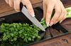 SZKLANA DESKA DO KROJENIA 35x52 CZARNA