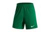 DRI FIT Casual Shorts Men's Pine Green/White HF0527-302