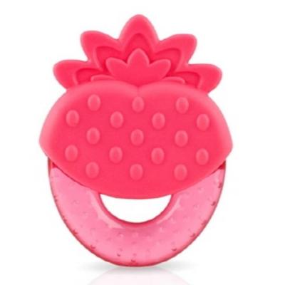 Nubi Icegel Fruit Teether Korean Childrens Toys