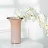Modern Glass Vase Living Room Desktop Flower Vase Balcony Large Caliber Storage Flower Bottle Simple Home Decoration Accessories