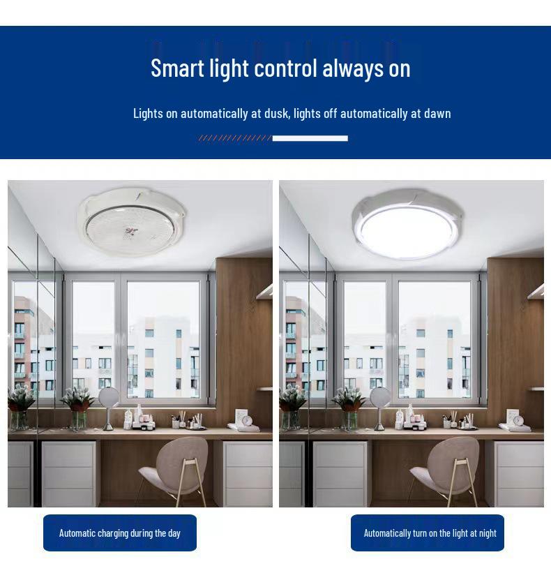 Solar Sensor Street & Courtyard Floodlight