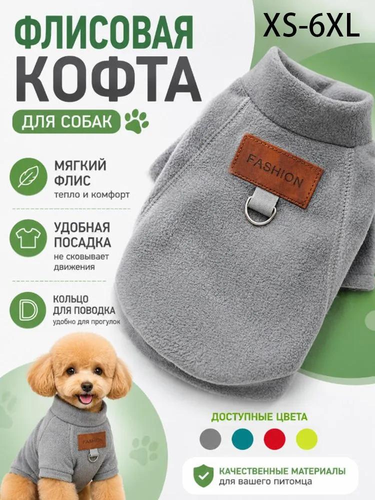 Clothes for cats and dogs