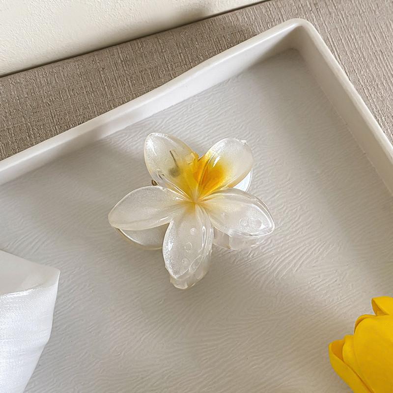 6cm Acryl Farbverlauf Frangipani Haarspange Damen Koreanisch Süß Haifischclip Haaraccessoires