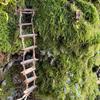 1 Stück Miniatur Feengarten Deko Für Zuhause Hof & Mini Landschaft Holz Feenbrücke Strickleiter Foto Requisite Zubehör