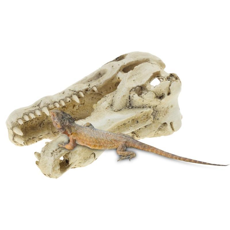 Resin Skull Aquarium Decorations for Fish for Tank Simulation Skeleton Cave Ornament Hideout for Shrimp Fish