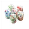 Retro PET Tape: Plant Scenery Series - 6 Designs for Journal Decoration