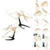 Realistic Archaeological Dinosaur Skeleton Model Diy Assembly Kit For Kids Toys