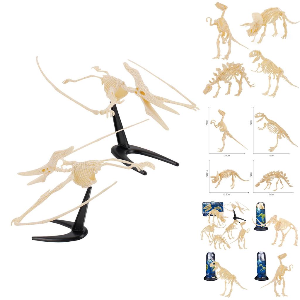 Realistic Archaeological Dinosaur Skeleton Model Diy Assembly Kit For Kids Toys