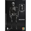 Null 1 12 Palm Elf Series Skeleton Body Silver Ver.