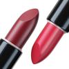 10 Colors Matte Lipstick Dark Red Smudge Proof Labiales Makeup Set Lip Stick Waterproof No Fade Silky Party Portable