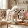 Pet Clothes Stripes Cloth Label Knitting Clothing Traction Small Dog Bichon Frize Dog Sweater