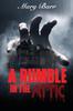 A Rumble In the Attic Bk 1 by Mary Barr Paperback Book 9781837942473