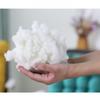 Solid Color Stitching All-in-one Chair Cushion PP Cotton Student Dormitory Backrest Lumbar Protect Waist Mat All-season Thick Office Chair Buttock Pad
