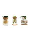 1 STK Runde Blumenvase Hydrokulturbehälter Desktop Pflanzgefäß Dekor Glasflasche mit Holzstopfen zur Anzucht grüner Pflanzen