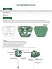 Outdoor Solar Ultrasonic Pest Repeller with Infrared Bird and Insect Deterrent