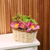 1Pc 1/12 Dollhouse Simulation Flower Plant Potted Dollhouse Mini Home Decoration Dolls House Micro Landscape Plant Accessories
