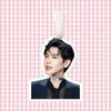 Zhang Ruoyun Cute Luggage Tag & Backpack Pendant - Anti-Lost Travel Case & Keychain Ornament with Support Lanyard Gift.