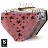Cotton Panties Plus Size Underwear Women Briefs Woman Knickers Lady Lingerie Girl Intimate High Waist Large Size 6 Pcs/lot