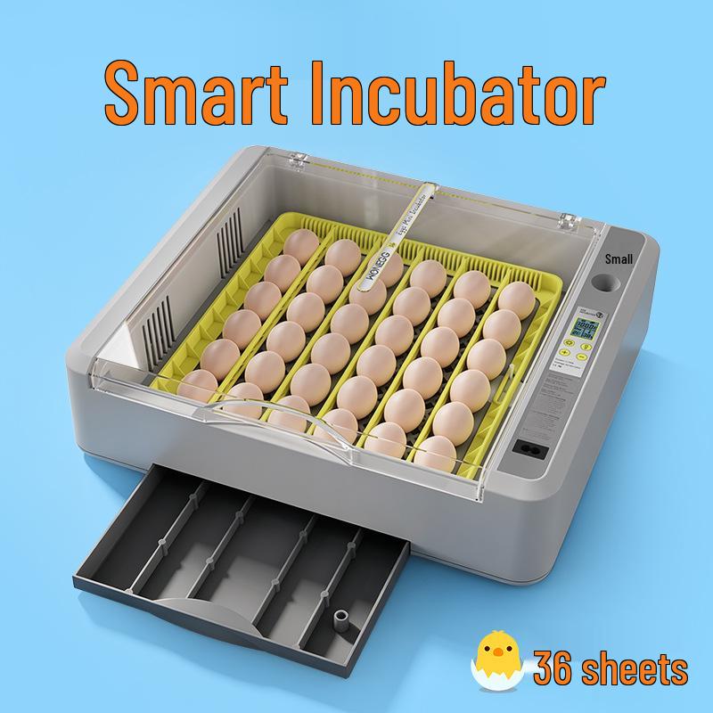 Smart Mini Egg Incubator for Parrots and Budgies: Automatic Pet Hatchery Equipment