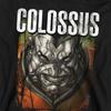 X-Men Childrens/Kids Info Colossus Pull Over Hoodie