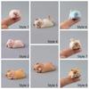 TV Screens Animal Ornament Model Desktop Edges Dog Cat Figurines  Car Interior Decoration