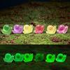Glow in The Dark Tiny Snail Miniature Figurines Snail DIY Ornament Accessories for Home Micro Fairy Garden Landscape Decor