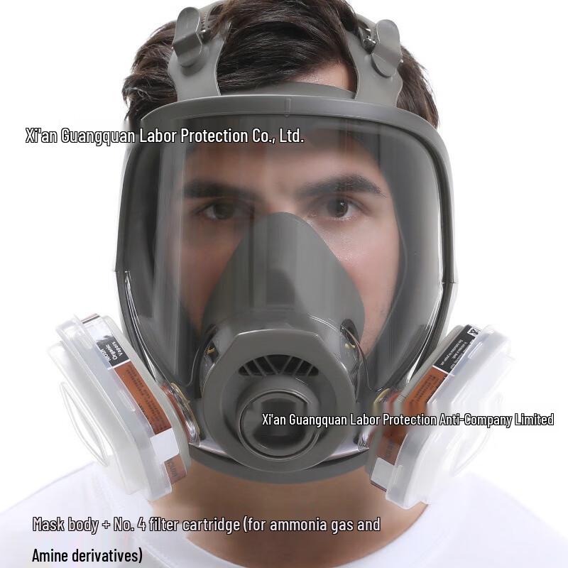 SANSHENG Full Face Respirator Mask Standard