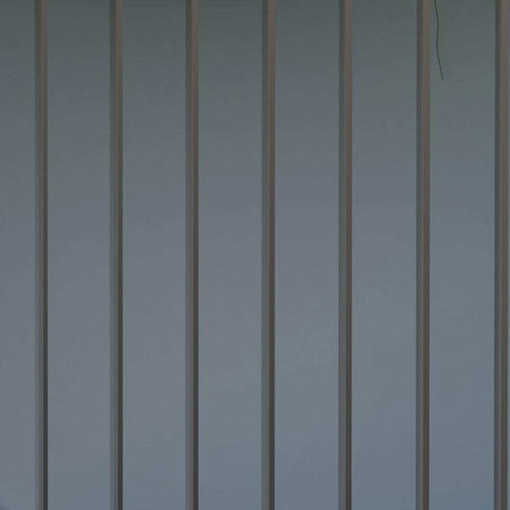Log Storage Shed, Galvanized Steel, Sloped Roof, 185 x 84 x 133.5/148.5 cm, Grey