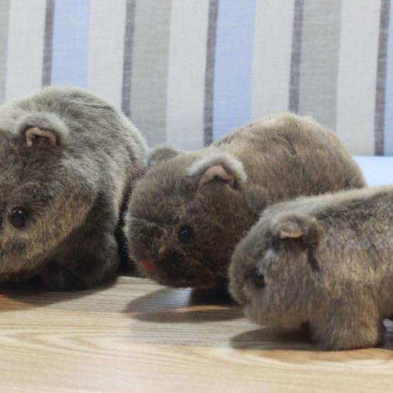 Simulation Wombat Toy Lovely Vivid Expression Birthday Gift Stuffed Guinea Pig Animal Toy for Girl