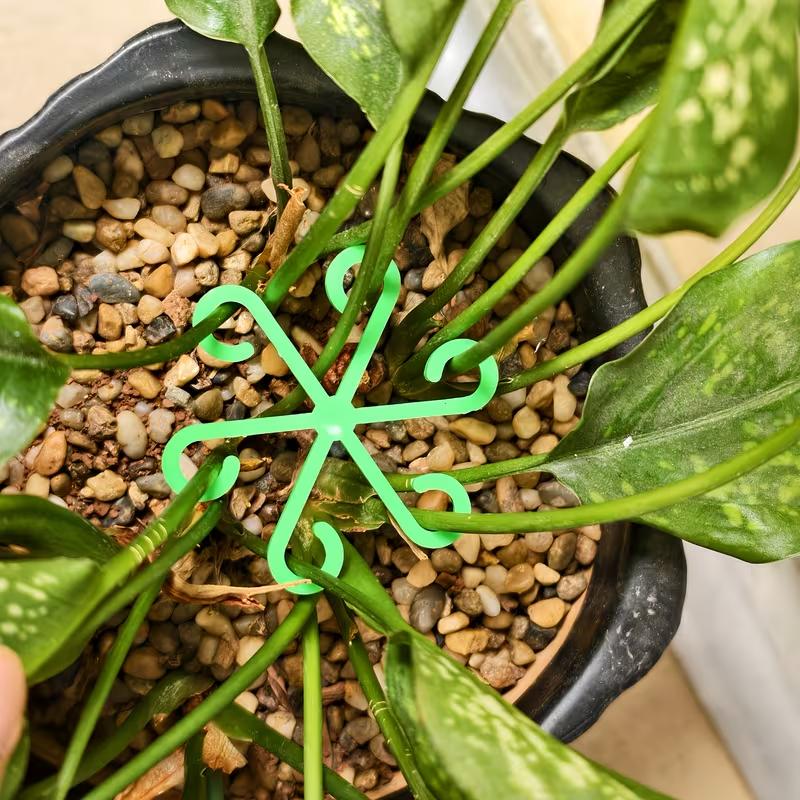 4Pcs Plant Stem Support Clips Flower Stem Gathering Frame Support Fixer Anti-Toppling Hydroponic Branch Fixing Pot Rack Garden Supplies