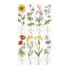 Bookmarker Cross Stitch Kit Includes 8 Pieces. Egyptian Cotton, 100% Cotton 14ct Aida Cotton Lace Cross Stitch Cotton Lace Edge DIY Book Marker