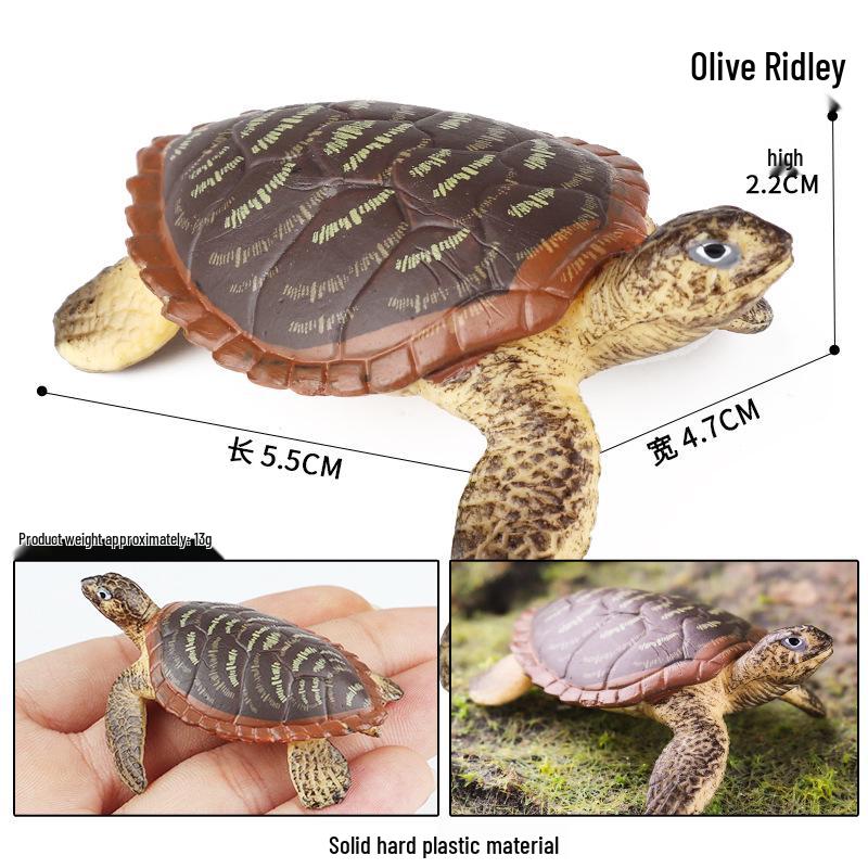 Children's Cognitive Marine Animal Models: Sea Turtle and Tortoise Toys