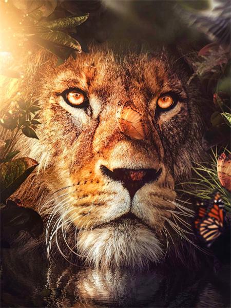 5d Diamant Malerei voller Bohrer Tiger Löwe Quadrat/Runde Stickerei Kreuzstich Tiere Mosaik Kristall Home Decor