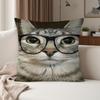 Cat Meme Kawaii Animal Funny Pillow Case Suitable For Bedrooms Living Rooms Cars Home Decoration