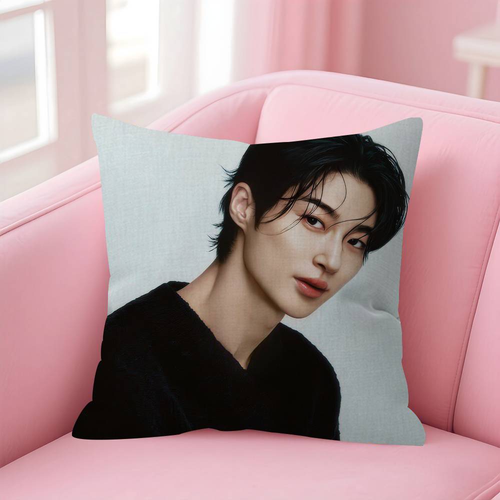 Korean Celebrity Byeon Wooseok  Pillow Gift Home Office Decoration Bedroom Sofa Car Cushion Cover case 45x45