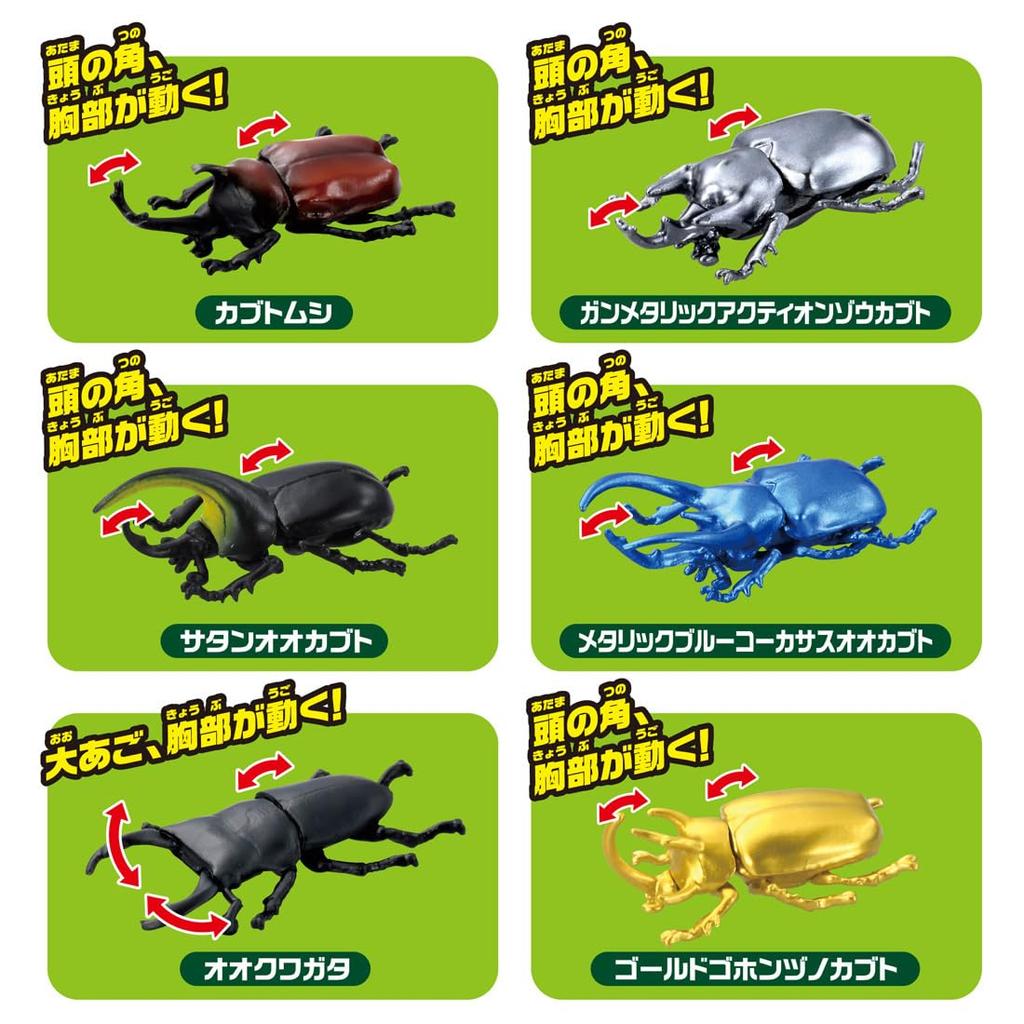 TAKARA TOMY Coleção de Insetos de Ovo da Ania DP-BOX Animal Dinossauro Brinquedo para Maiores de 3 Anos