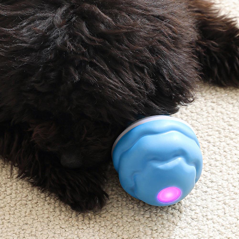 Electric Dog Ball Toys Automatic Rolling Ball with Rope Rechargeable Interactive Dog Toys Squeaky Dog Toy for Medium Small Dogs