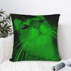 Green Alien Cat Meme Pillow Cover  Vintage Pillow Case For Living Room Chair Comfy Cushion Cover Gift