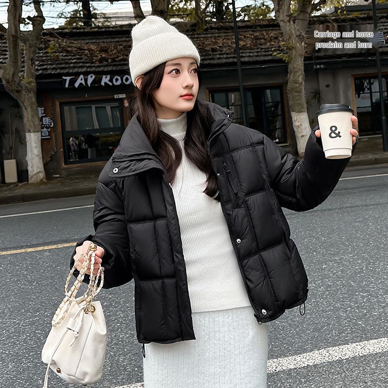 Korean Style Winter Cotton Puffer Jacket for Women - 2026 Collection, Loose Fit, Thickened, Stand Collar, Warm Outerwear.