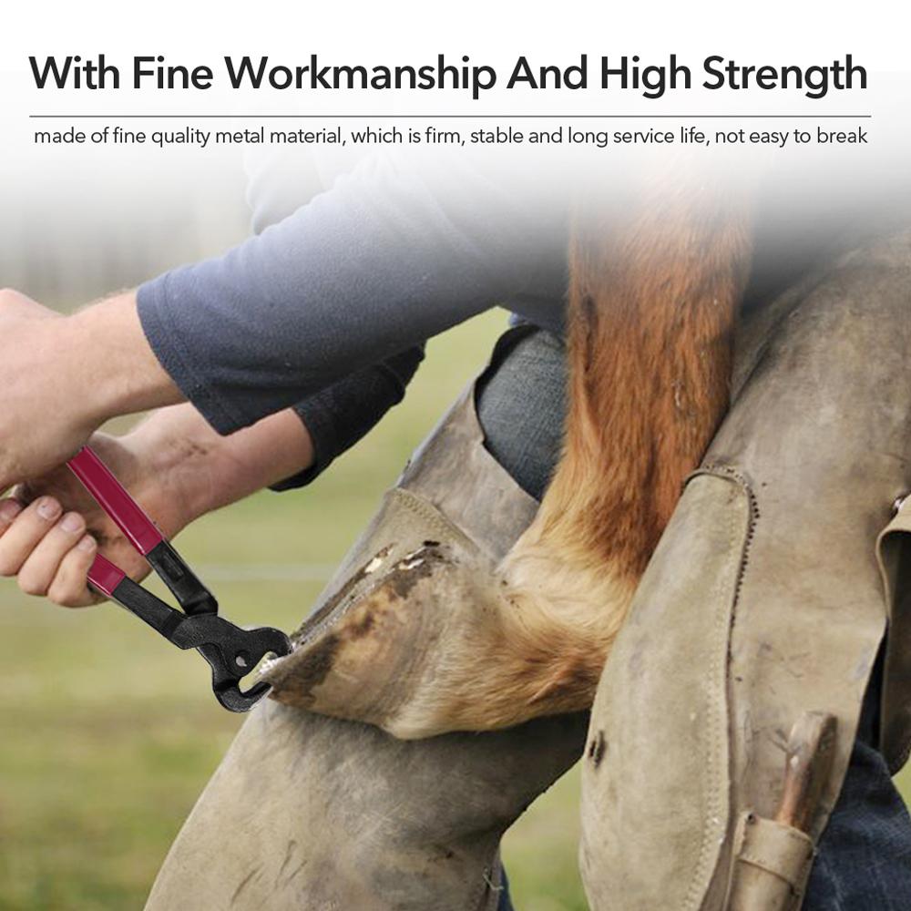 4PCS Horse Farrier Hoof Nipper Trim Shoeing File Rasp Handle Hoof Cutter Tool Horse Care Accessory