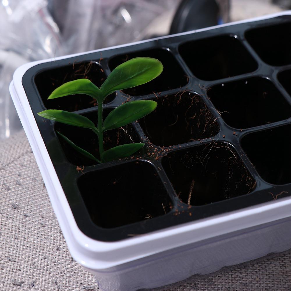 With Cover 12 Cells Seedling Trays White Square Portable Nursery Box Set Breathable Germination Box Greenhouse