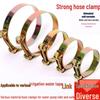 European Heavy-Duty Galvanized Iron Hose Clamps for Water Pipes