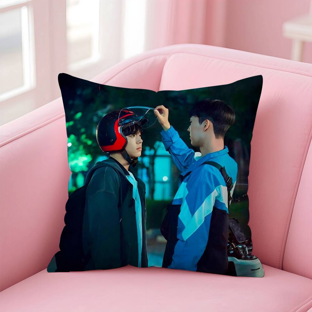 Hot Movie W-Weak Hero Class 1 Pillow Case Anti-Dustmite Pillowcase Invisible Zipper Silky Short Plush Sofa Cushion Cover