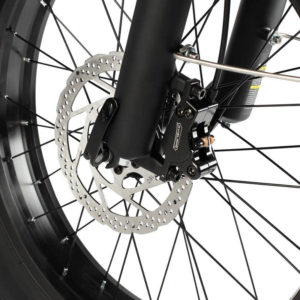 Bicicletta Elettrica Philodo T1 Ruota da 20" Motore da 750W Bicicletta Elettrica da Pendolarismo Urbano 48V 20Ah Freni a Disco Idraulici 7 Velocità Carico Massimo 150Kg