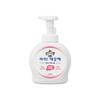 Foaming Hand Soap 4L x 1 (container 490ml x 1)