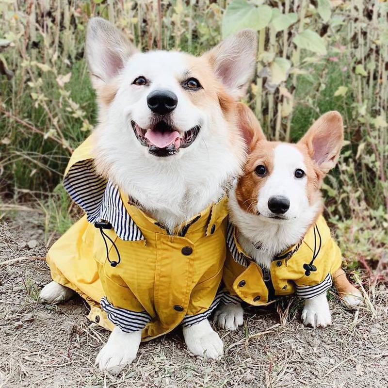 Fashion French Bulldog Pet Rain Coat for Medium Large Dogs Waterproof Puppy Big Dog Clothes Pug Corgi Pitbull mascotas Raincoat